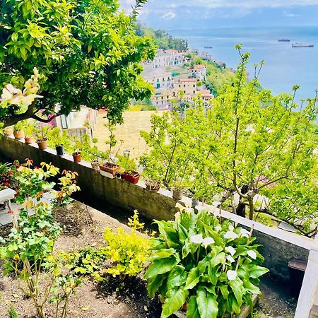 Borgo Virginia - Sea View In Amalfi Coast Apartment Vietri Luaran gambar