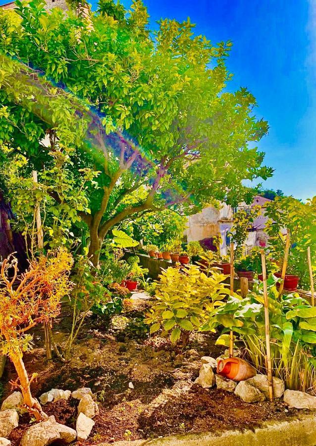 Borgo Virginia - Sea View In Amalfi Coast Apartment Vietri Luaran gambar